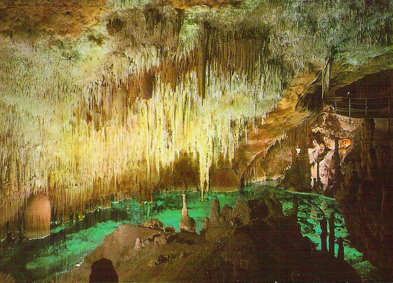 Crotte du Drach1.jpg - Grotte du Drach